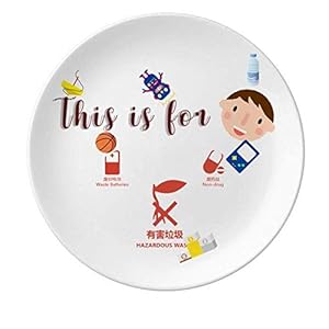 Afval Batterijen Schadelijk Afval Scheiding Porselein Plaat Diner Ronde Schotel Jon