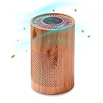 Air Purifiers Wood