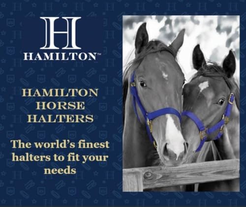 Hamilton 1DAS AVNV 1-Inch Nylon Halter with Adjustable Chin, Navy Blue - Average Size, 800-1100-Pounds - 5
