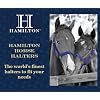 Hamilton Deluxe Horse Halter, 1 Triple Ply Nylon, Small Horse or Weanling Draft, 500-800 lbs, Berry Blue