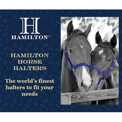 Hamilton Deluxe Horse Halter, 1 Triple Ply Nylon, Small Horse or Weanling Draft, 500-800 lbs, Berry Blue