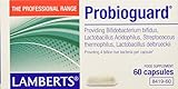 También se encuentra en la mucosa de la vagina, el cérvix y la uretra; las Bifidobacterium en cambio, eligen la membrana mucosa del intestino grueso