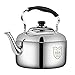 WHLMYH Hervidor, Hervidor con Silbido de Inducción, Hervidor de Acero Inoxidable 304 de Gran Capacidad, Hervidor Multifuncional,10L,10L