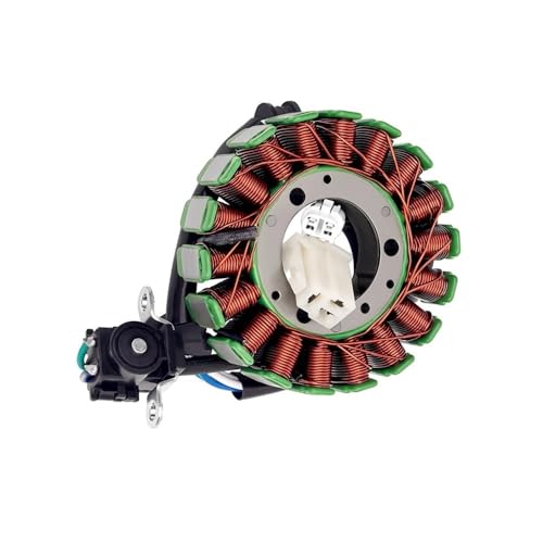 Bobina del estator de generador compatible con YS250 2014-2017 y recambio 5D1-H1410-01-00