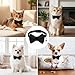 Cat Collar Breakaway with Bow, Adjustable 7-11 Inches Cat Bow Tie, Bowtie Dog Collar with Bells, Safety Buckle Collars Solid Basic Color for Small Pet Kitten Puppy Wedding Party Festival Accessories