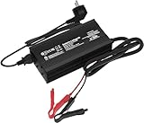 14,6 V 20 A LiFePO4 Batterien Ladegerät