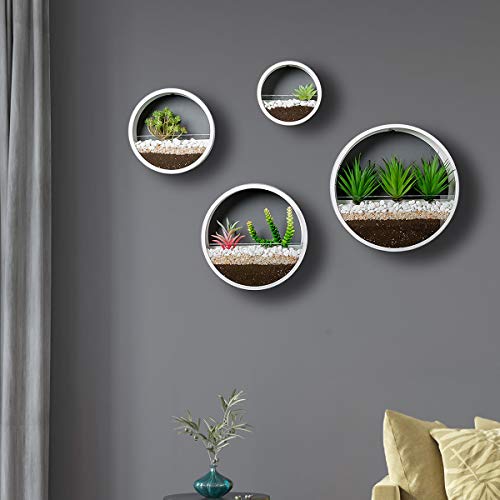 Knikglass Mixed Set Of 4 Hanging Wall Planters Circle Vertical Planters Round Air Plant Holder Vintage Flower Pot Succulent Cactus Container Iron Retro Metal Vase For Wall Decor Accents (White) #TOP7