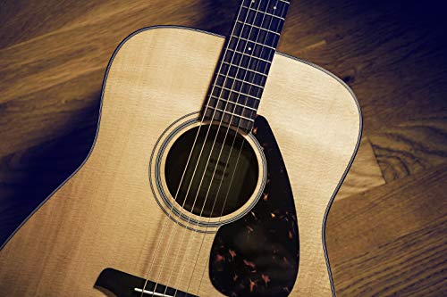 Yamaha FG800 Guitare Folk Finition Naturelle Mate – Guitare acoustique avec une sonorité riche et authentique – Guitare… - Les Beatles, Paul McCartney, John Lennon, RIngo Starr, George Harrison Yamaha FG800 Guitare Folk Finition Naturelle Mate – Guitare acoustique avec une sonorité riche et authentique – Guitare… – Image 3