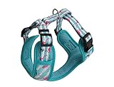 Owani Hundegeschirr Funky Flamingo | Air Mesh | bunt | Flamingo türkis-pink | Softgeschirr | für kleine bis mittelgroße Hunde | Geschirr Hund | Brustgeschirr | Zubehör Owani Hundegeschirr Funky Flamingo | Air Mesh | bunt | Flamingo türkis-pink | Softgeschirr | für kleine bis mittelgroße Hunde | Geschirr Hund | Brustgeschirr | Zubehör