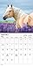 2023 Horses Mini Wall Calendar