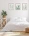 HesenDot Framed Wall Art,Minimalist Botanical Canvas Wall Art for Living Room,12x16in Plant Wood High-Framed Design Flower Green Eucalyptus Leaf Artworks Prints Poster for Bathroom,Bedroom Set of 3
