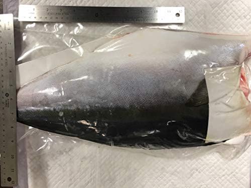 Hamachi, Yellow Tail, 10lbs