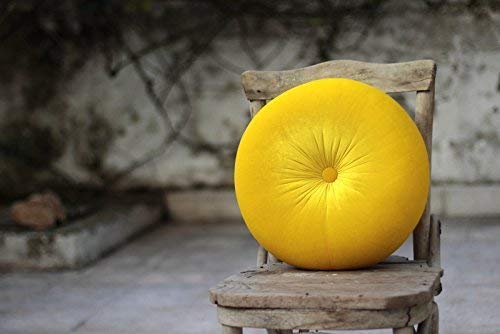 round yellow pillow