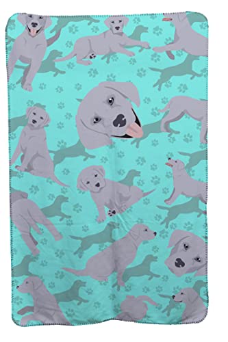 Caroline's Treasures MLM1054TBLT Silver Labrador Retriever Soft Travel Blanket with Bag Airplane Blanket, Indoor Outdoor Camping Blanket for Traveling, Picnics, Beach Trips, Concerts