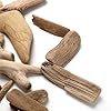 20 Pcs Natural Driftwood Pieces Branch Slices Craft Sticks Beach Decor for for DIY, Craft Sticks, Craft Supplies #5