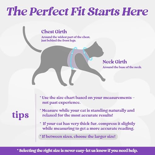 Image of rabbitgoo Cat Harness and Leash Set, Step-in Soft Vest, Purple | Escape Proof, Lightweight, Easy-on & Adjustable, Hook & Loop with Buckle, Reflective, for Kittens & Small Cats Walks, M