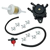 Predator fuel pump - 808656 Craftsman Fuel Pump With Fuel Line Filter Replacement For BS 692313...