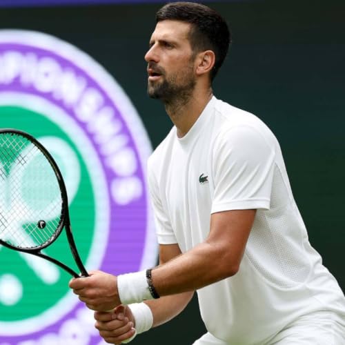 26.06 - Djokovic novamente no caminho de Fonseca: an&aacute;lise flash das chaves de Wimbledon
