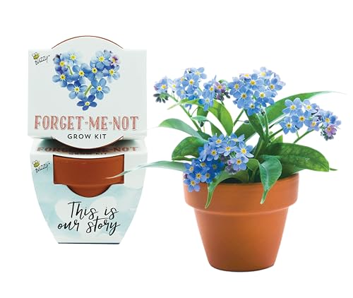 BUZZY Terracotta Mini Grow Pots for Adults and Kids | Love Forget-Me-Not Flower | 12-Count case | Best Gardening Gifts or Party Favors for Wedding, Birthday, Shower, Valentine | Guaranteed Growth - Thumbnail 2