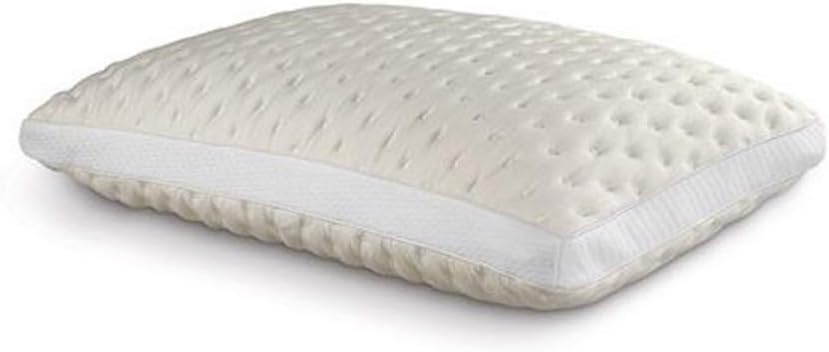 Fabrictech InternationalBamboo Memory Foam Pillow Featuring Memory Foam Puffs, Queen, Medium (FTB914)