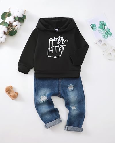 Image of Renotemy Toddler Baby Boy Clothes Denim Outfits Infant Hooded Sweatshirt Jeans Pants Little Boys Clothing