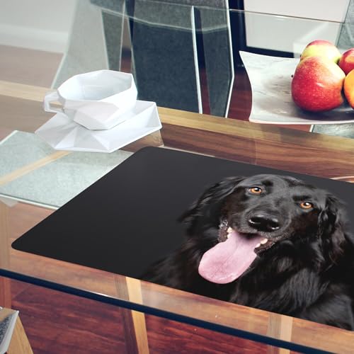Set de table liège Labrador Noir : napperons de qualité supérieure et durables - 6