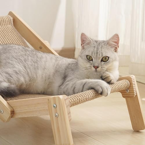 Cama de cadeira elevada para gatos, cadeira dobrável para gatos, cadeira de cama para gatos, almofad