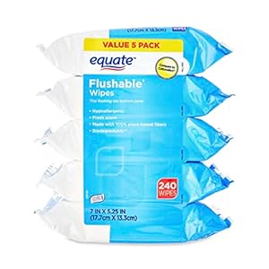 Equate Fresh Scent Flushable Wipes,...