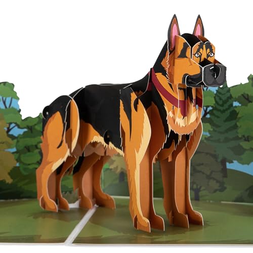 Cardology - German Shepherd Pop Up Card | 3D Alsatian Birthday Card, Fathers Day Cards, Mother's Day Cards for Pet Mums and Dads | Handmade