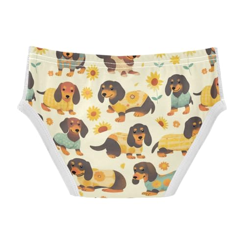 Wusikd Funny Dachshund Boys' Underwear Cotton Dogs Flowers Boys Briefs Soft Toddler Underwear 2T2