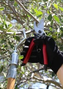 S SAVHOME Big-Reach Pole Hook (New!)