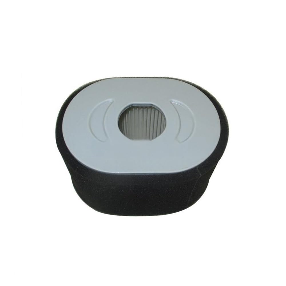 Filtre à air pour 799818 et moteur 25T232-0007-F1 de tondeuse