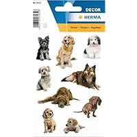 HERMA 3432 Stickers Dogs Small Large Pack of 27 Animal Stickers with Labrador Dachshund Collie Dog Breeds Motif, Children's Labels for Photo Album, Diary, Poetry Album, Scrapbooking, Birthday