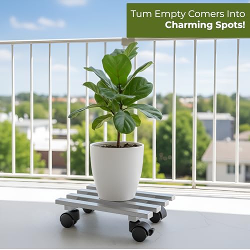 Image of Dolin Decor Stainless Steel Plant Stand Rust Proof Heavy Duty Flower Pot Holder for Indoor Outdoor Balcony Garden - Planter Stand 80kg Capacity12 L x 9 inch W x 4.5 inch H (Silver 104, Set-1)