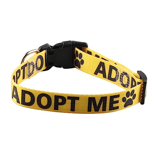 Collier chien VAMSII adoption refuge