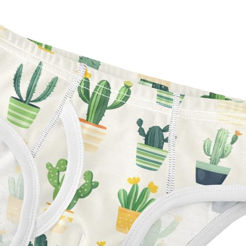 Cactus Toddler Boy's Underwear 2T 202c00854