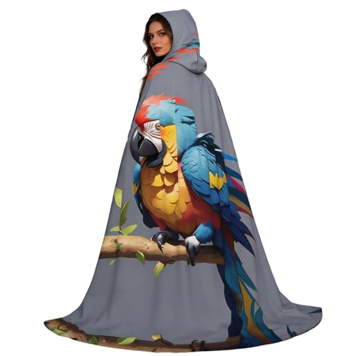 Cape d'Halloween avec capuche et poncho médiéval long vintage