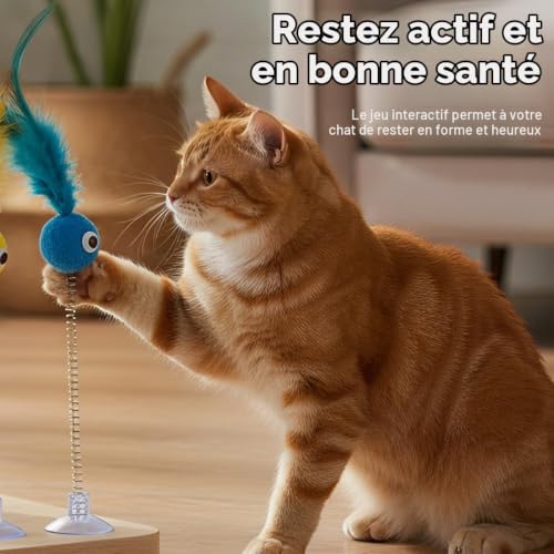 ROKZELT 5 Pièces Jouets à plumes pour chats, Ressort Coloré Interactif pour Chat, Jouet Chat Interactif, Interieur Jouets pour Chats avec Ventouse, pour l'intérieur Chats et Chatons – vue 5