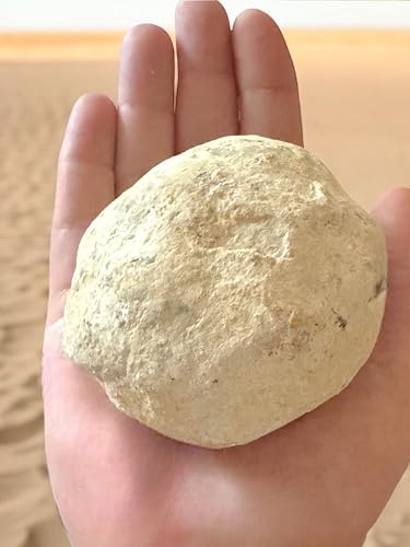 Géodes à briser authentiques de 7-8 cm pour éviter les fausses pierres moulées