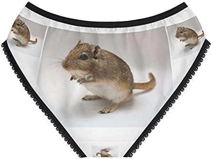 SpreadPassion Jerboa Shot Panties, Jerboa Shot Underwear, Briefs, Cotton Briefs, Funny Underwear, Panties For Women