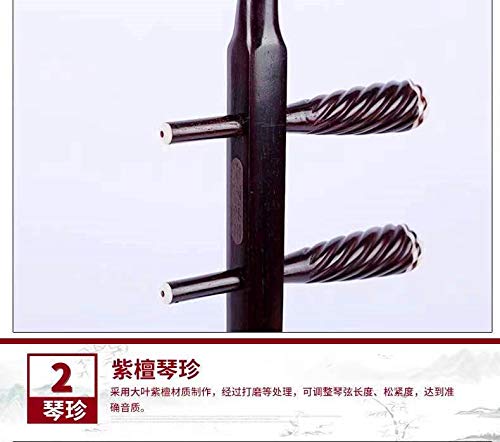 Amazon | 万菊根大叶紫檀二胡（专业演奏级） | 二胡 | 楽器