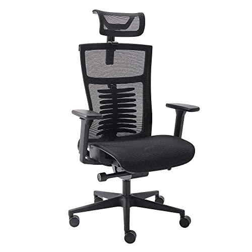 Cadeira de Escritório Ergonômica Preto Elements Vertta Special