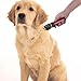 Sminiker Low Noise Horses Clippers Rechargeable Cordless Pet Clippers Grooming Kit with Storage Bag 5 Speed Professional Animal Clippers Pet Grooming Kit