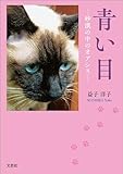 青い目 ─砂漠の中のオアシス─