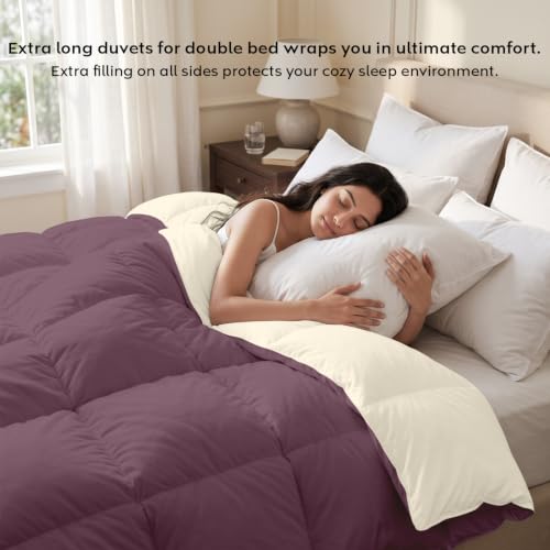 Image of AYKA Reversible Comforter 220 GSM Microfiber Reversible AC Comforter /Blanket for Winter /Quilt /Dohar /Duvets for King Size Blanket /Comforter Double Bed (Plum & Pearl, 60 * 90 inch)