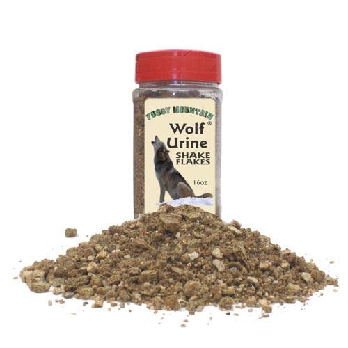 How long does wolf urine last