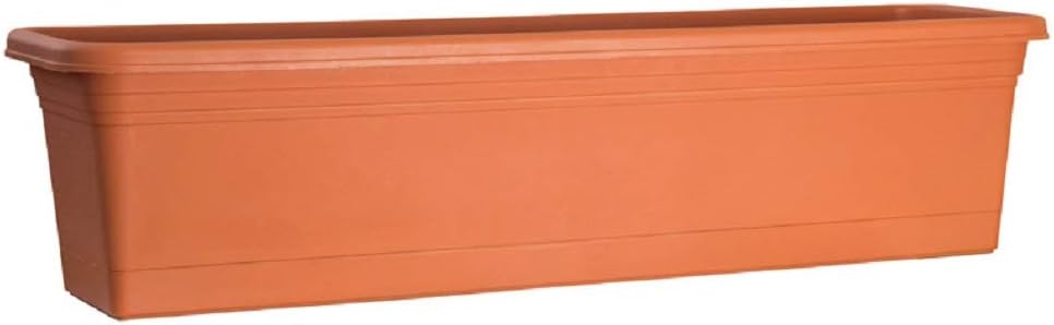 Window Box Rugg TC 24"