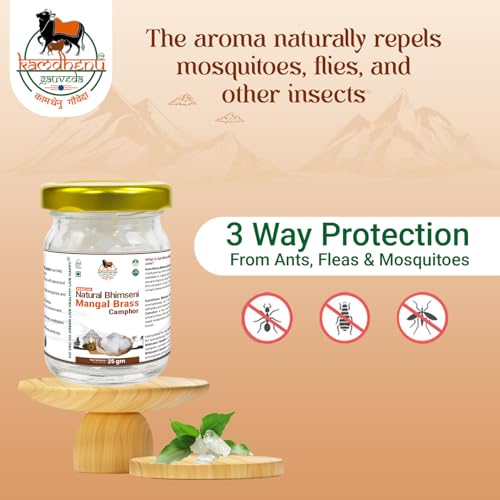 Image of First Hygienic Premium Glass Jar Pack & Lab Tested Edible Grade Solid Crystals Natural Bhimseni Camphor | 100% Pure Organic Mangal Brass Kapoor | Pooja, Havan, Aarti & Aromatherapy Pacha Karpooram |