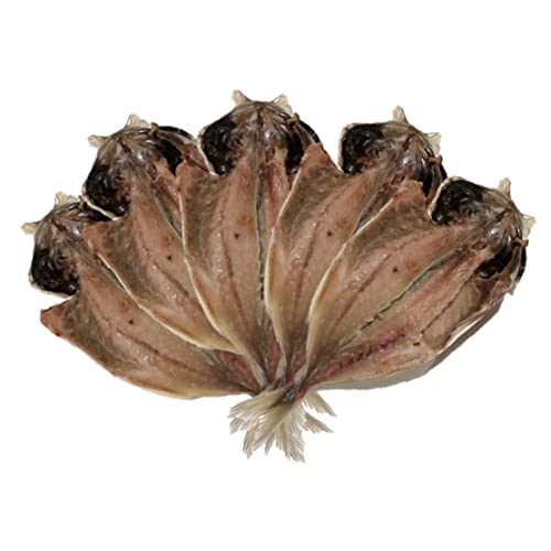 大アジ干物 沼津加工 (1尾約200g)【特大鯵干物】冷凍 豊洲直送 お徳用 (5尾入)