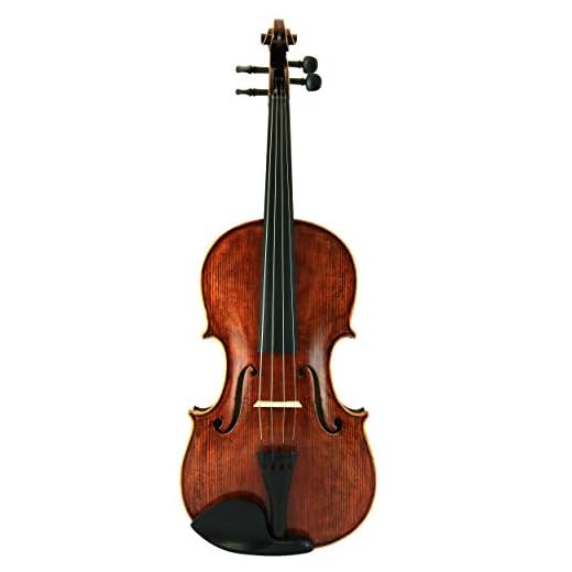 D'Luca PD02-15.5 15.5-Inch Orchestral Series Handmade Viola Outfit